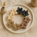 Claw Clips (Set Of 4 )