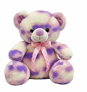 Cute Multicolor Teddy Soft Toy