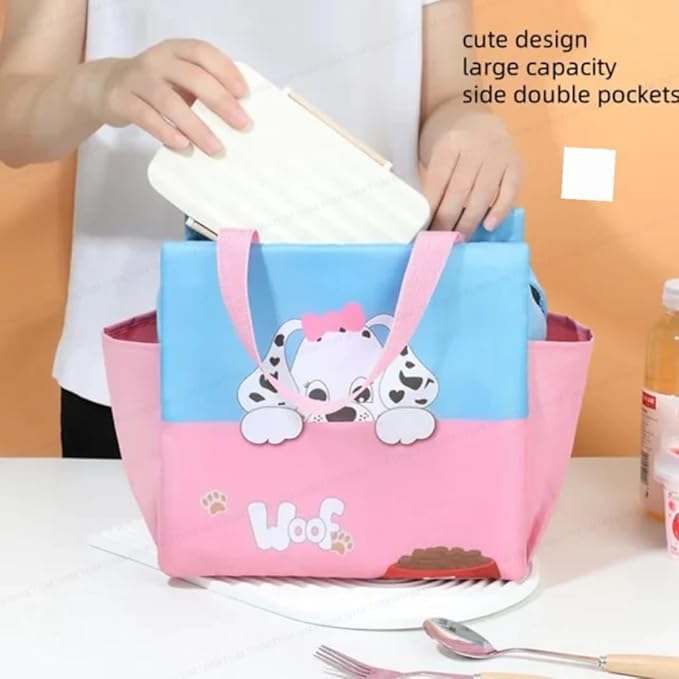 Insulated Lunch Bag