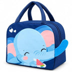 Insulated Lunch Bag