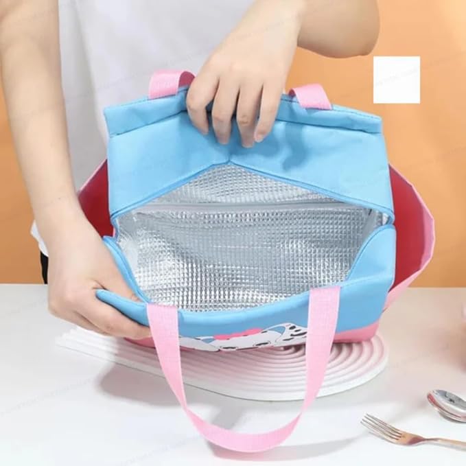 Insulated Lunch Bag