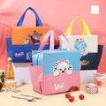 Insulated Lunch Bag