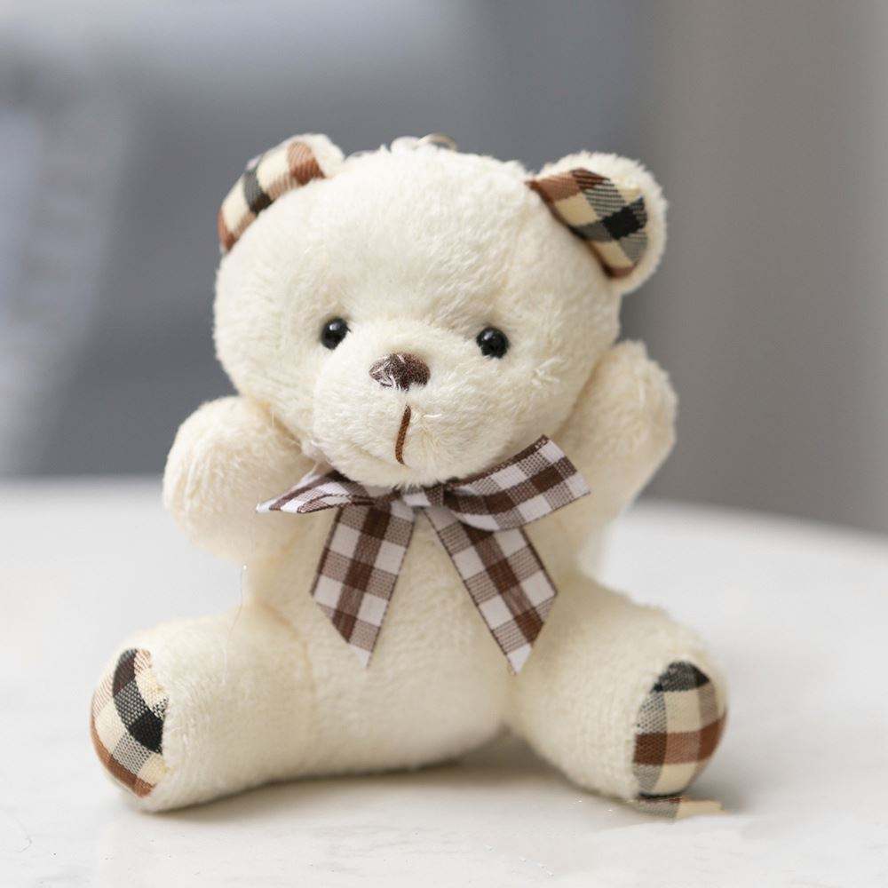 Cute Teddy Soft Toy
