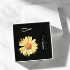 Aroma Plaster Stone Diffuser