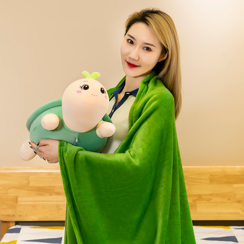 Turtle Plushies With Blanket