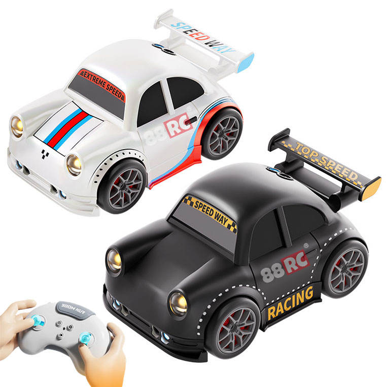 Mini RC Cars