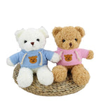 Cute Teddy with Hoodie Keychain