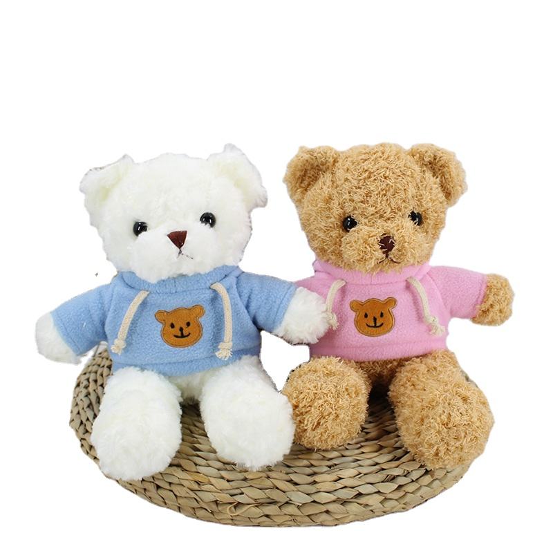 Cute Teddy with Hoodie Keychain