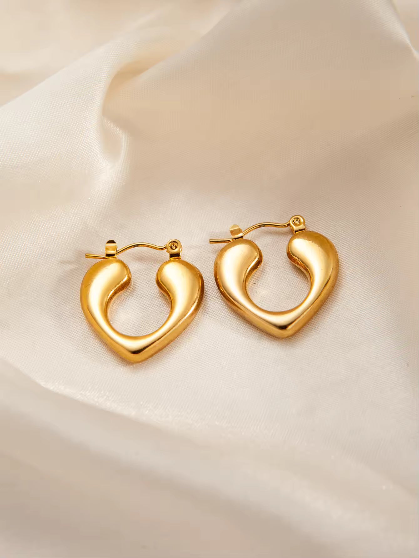 Loop Earrings