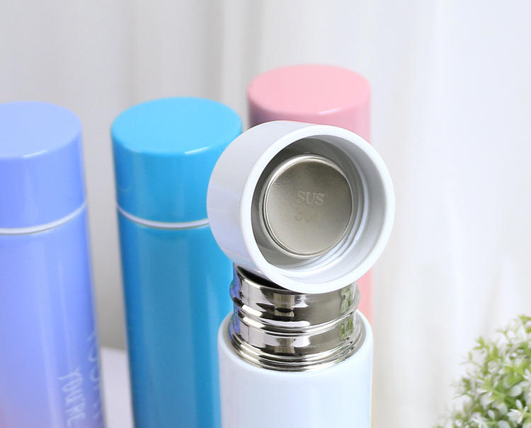 Slim Stainless Steel Bottle