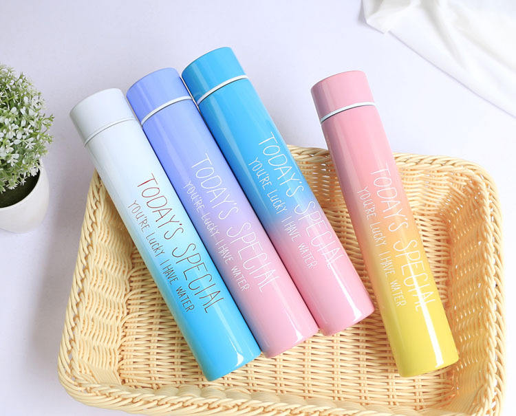 Slim Stainless Steel Bottle