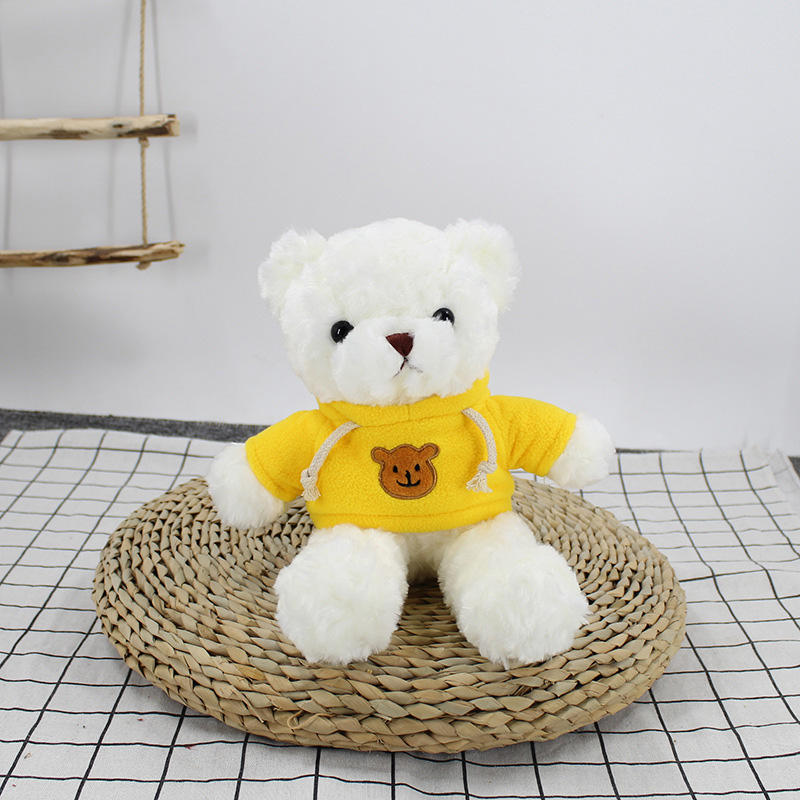 Cute Teddy with Hoodie Keychain
