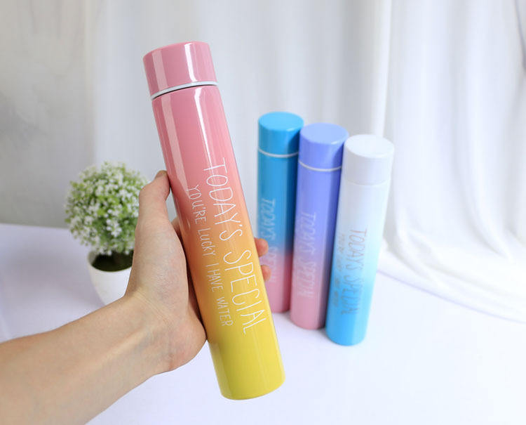 Slim Stainless Steel Bottle