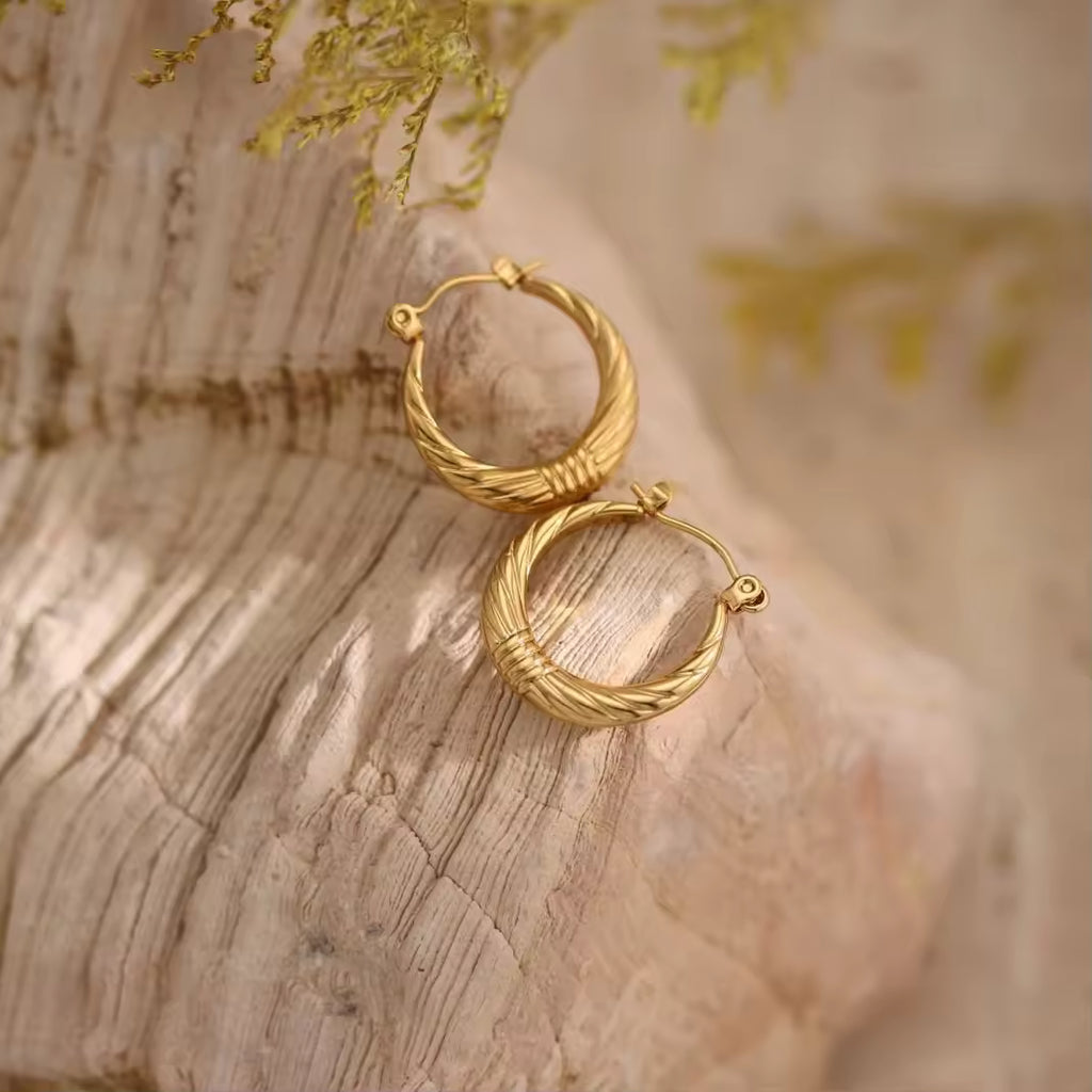 Loop Earrings