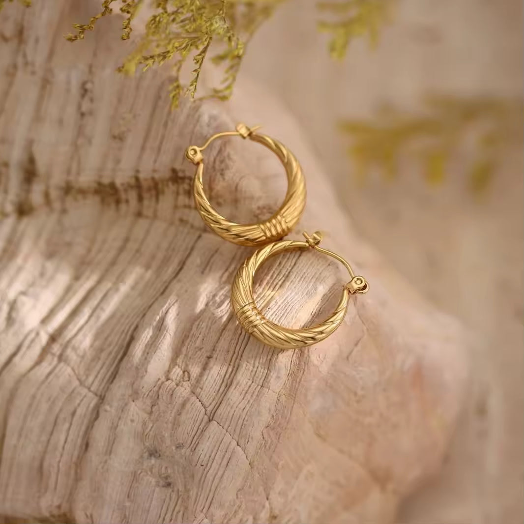 Loop Earrings