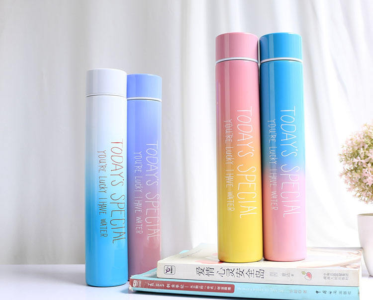 Slim Stainless Steel Bottle