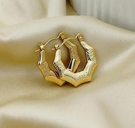 Circle Shaped Hoop Earrings