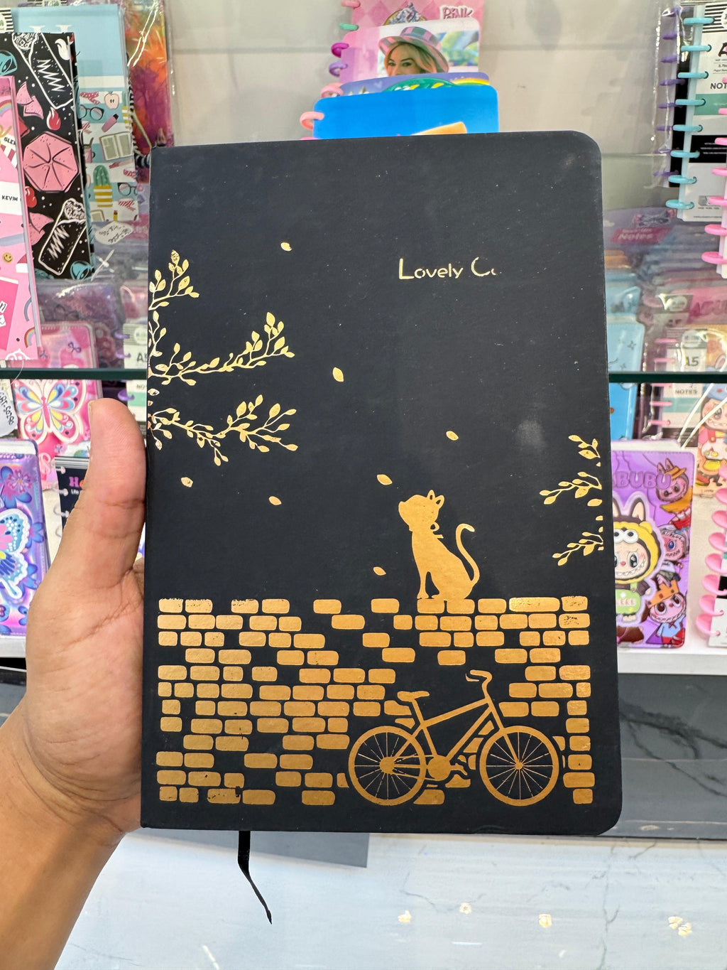 Fancy Black Diary