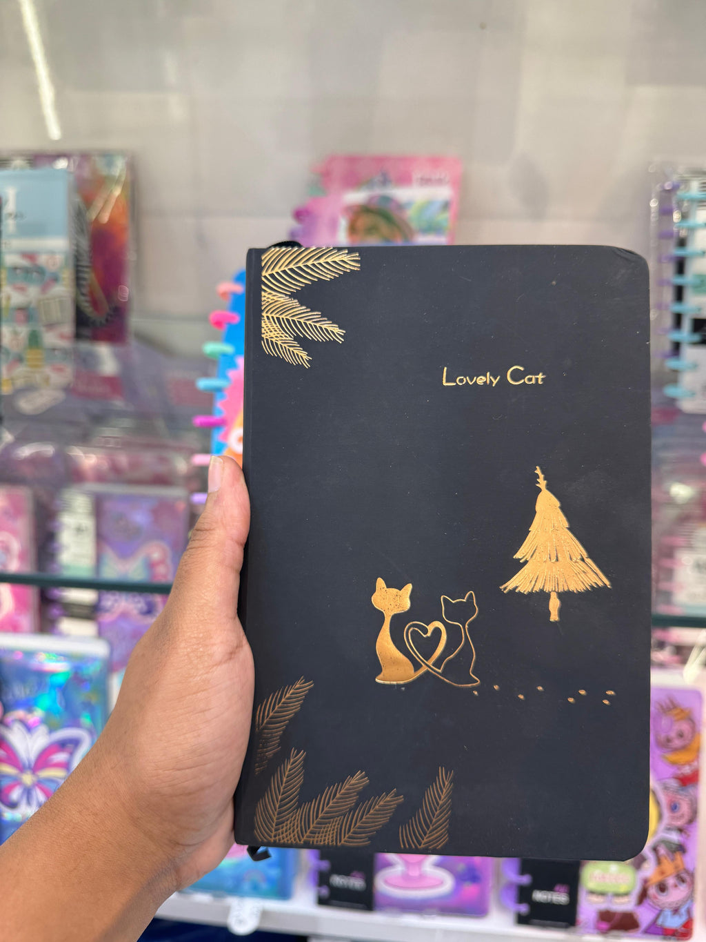 Fancy Black Diary