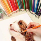Sketch book (A4 size)