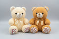 Cute Teddy Soft Toy