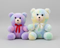 Multicolor Teddy