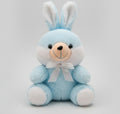 Bunny Soft Toy