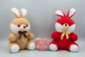 Bunny Soft Toy
