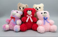 Cute Mini Teddy