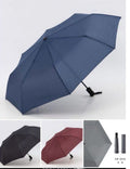 Umbrella