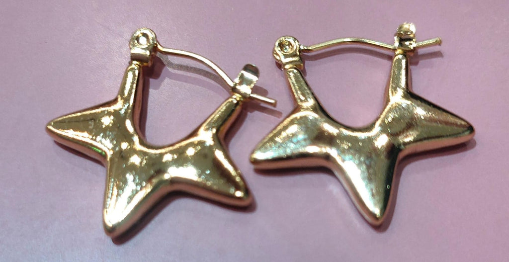 Loop Earrings