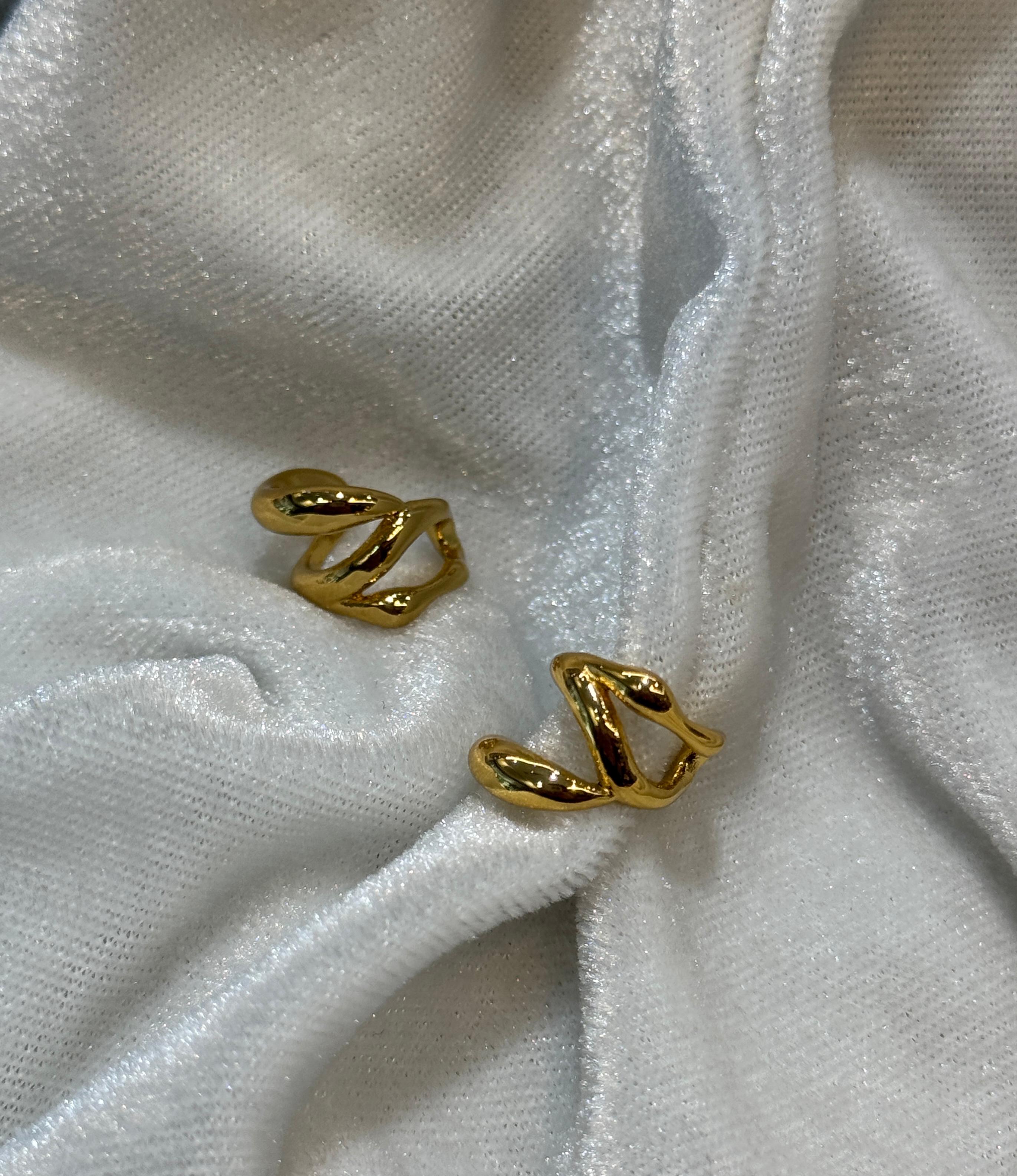 Earrings for No-Piercing Ears.