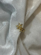 Earrings for No-Piercing Ears.