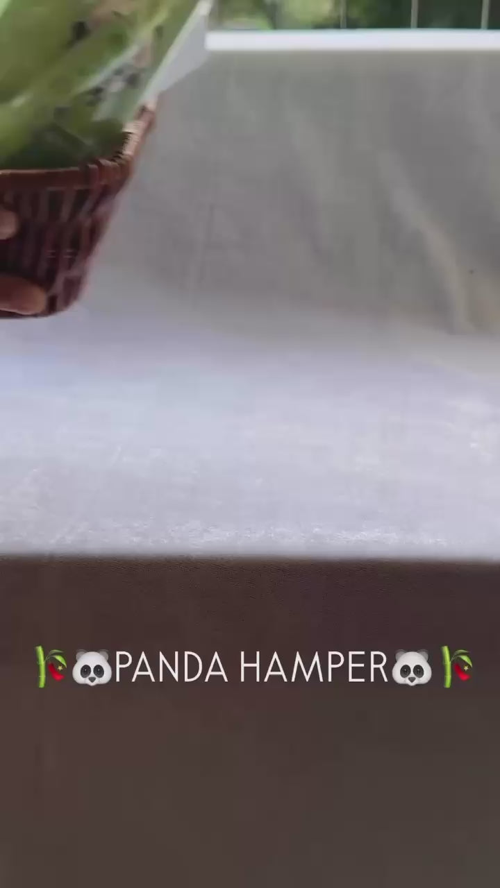 Adorable Gift Box for Panda Lovers ( With Transparent Box )